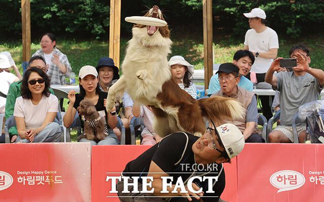 '2024 서초 독 스포츠 축제'가 18일 오후 서울 서초구 서초문화예술공원 야외무대에서 열린 가운데 음악에 맞춰 원반을 던지며 반려견과 호흡하는 '독 디스크 대회'가 진행되고 있다. /사진공취재단