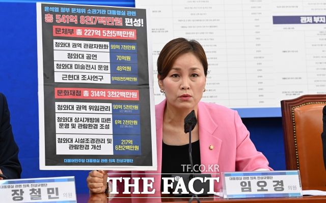 핸드볼 국가대표 출신인 임오경 더불어민주당 의원은 문화체육계 인사 중 유일한 '지역구 재선'이다./ 더팩트DB