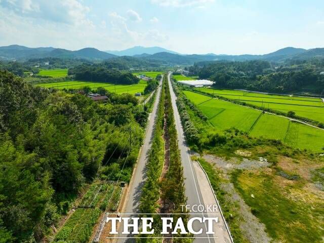 보성군이 악취 저감을 위해 보성읍에 조성한 ‘미세먼지 차단 숲' 전경./보성군