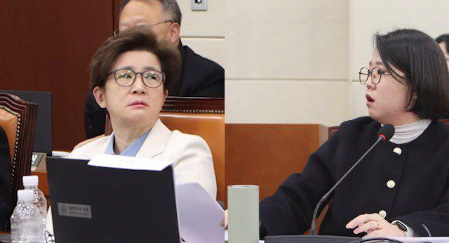 용혜인 기본소득당 의원(오른쪽)과 강선영 국민의힘 의원이 지난 6일 국회에서 열린 '윤석열 정부의 비상계엄 선포를 통한 내란혐의 진상규명 국정조사 특별위원회' 3차 청문회에서 공방을 벌였다. /용혜인 의원 유튜브 갈무리