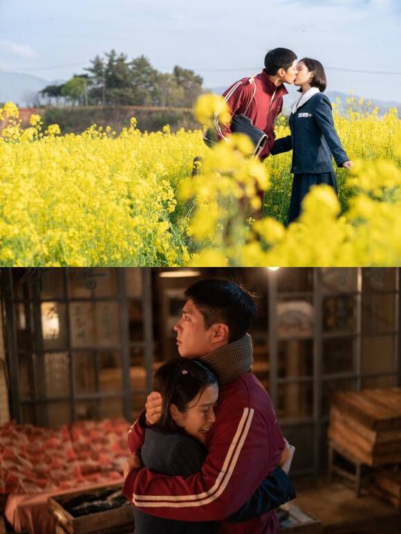 배우 박보검이 넷플릭스 오리지널 시리즈 '폭싹 속았수다'에서 아이유와 호흡을 맞추고 있다. /넷플릭스