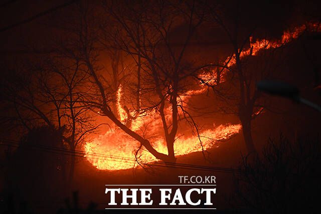 의성 산불이 발생한지 4일째를 맞은 25일 오후 경북 안동시 남후면 광음리 일대에 불이 확산되고 있다. /안동=박헌우 기자