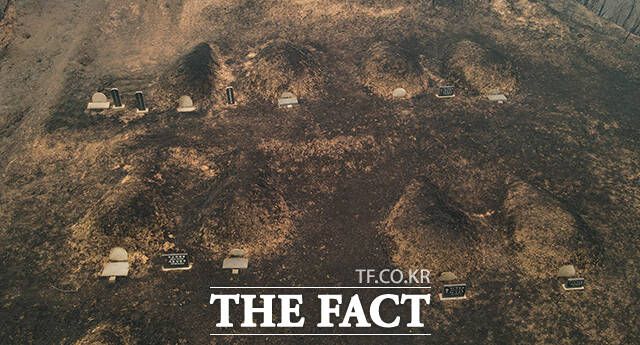 취재진의 조상이 모셔진 산소가 불에 타 있다.