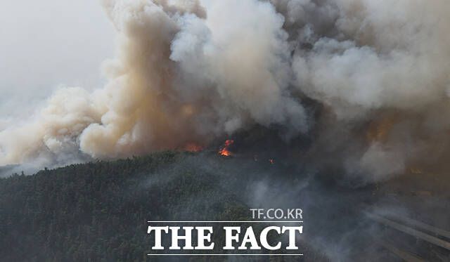 25일 경북 의성군 단촌면 일대 야산에서 잔불들이 확산되고 있다.