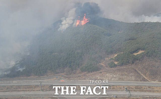 의성군 단촌면 일대 야산이 화염에 휩싸여 있다.