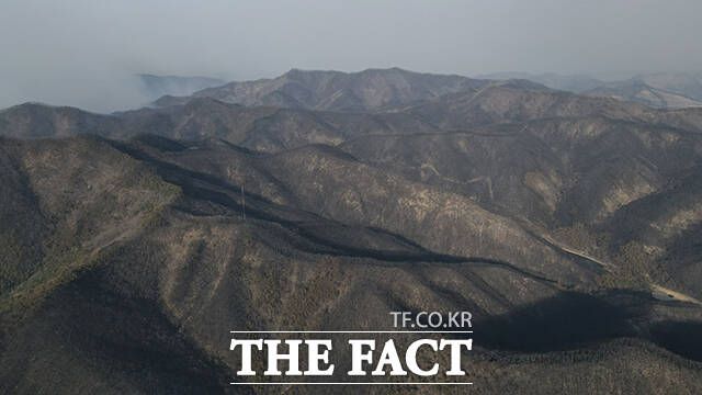 역대 최악의 규모로 기록된 이번 산불은 4만 5157㏊가 불에 탔다. 지금까지 역대 가장 피해가 컸던 2000년 동해안 산불의 피해 면적(2만 3794㏊)의 두 배 수준이다.