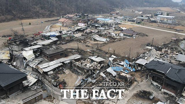 안동시 임하면의 한 마을이 산불로 쑥대밭이 되어 있다.