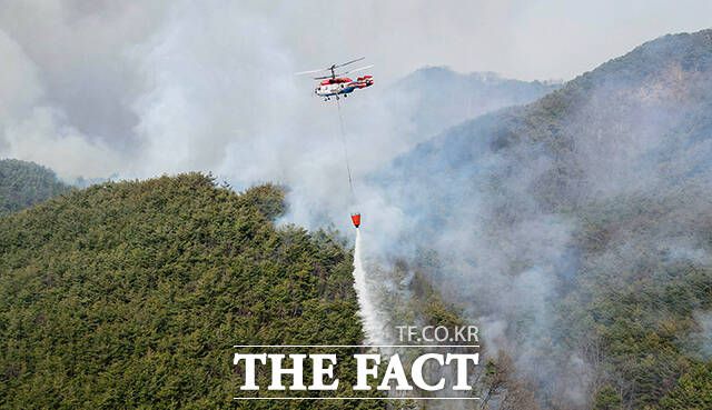 25일 경북 의성군 단촌면 일대 야산 곳곳에서 잔불들이 확산하고 있는 가운데 소방헬기가 연신 물을 퍼 나르고 있다.