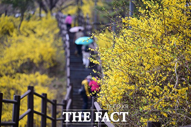 2일 수도권을 제외한 전국 대부분 지역에서 비가 내리겠다. /남윤호 기자