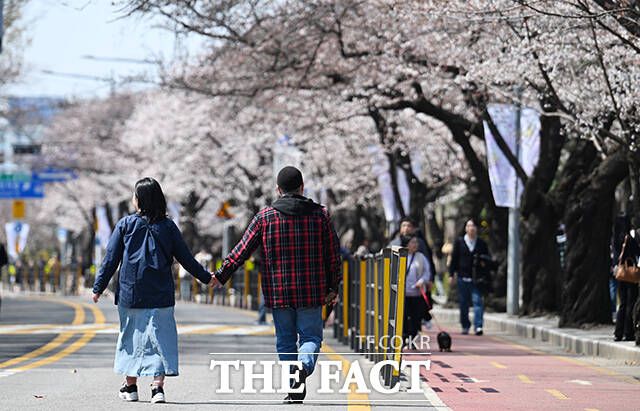 6일 오후 서울 여의도 영등포구 윤중로벚꽃길을 찾은 시민들이 봄을 만끽하고 있다. /박헌우 기자