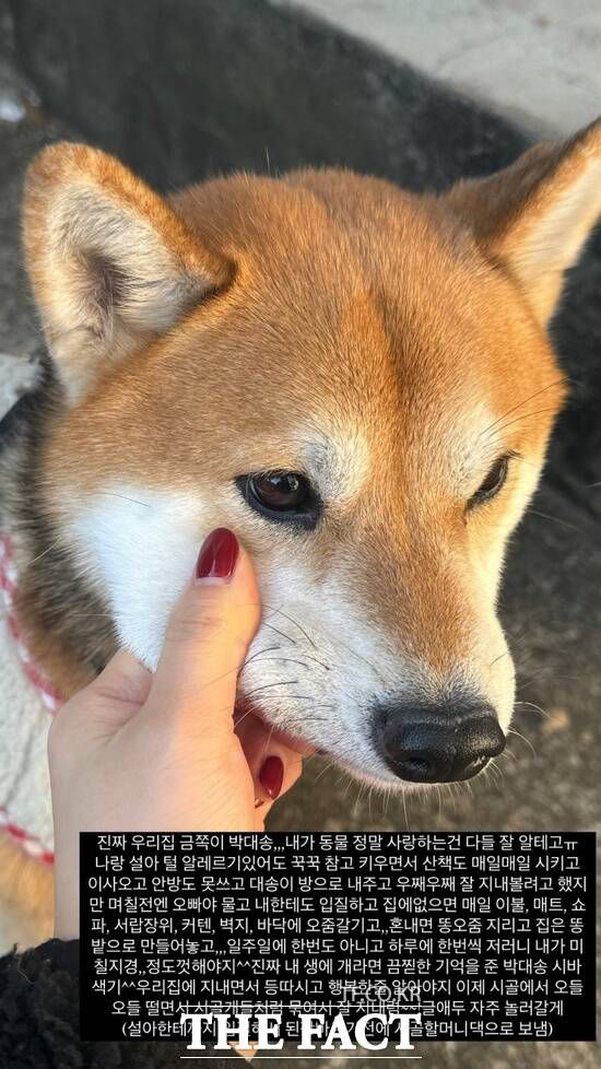 부인 전 씨가 시바견 '박대송'을 시골집에 데려다 주고 쓴 SNS 사진과 글. / 전 씨 제공