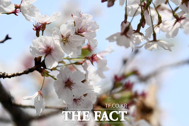 봄 나들이 제격인 날씨.