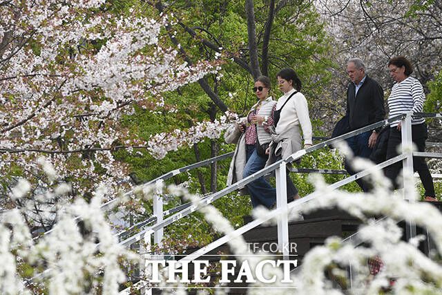 벚꽃 핀 한강공원으로 향하는 외국인들.