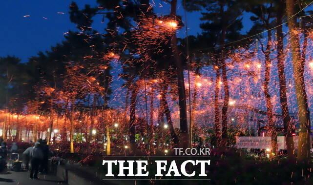 불꽃비가 26일 세종중앙·호수공원 일원에 날리고 있다. /김형중 기자