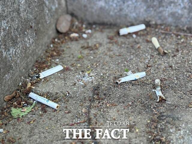 지난 25일 서울 서초구 청계산 인근 그늘막 아래, 벤치 주변, 등산로 초입까지 흙먼지에 파묻힌 담배꽁초 수십여개가 버려져 있었다. 시민들은 건조한 봄철 산불 경각심이 높아지는 상황에서 흡연 등 행위가 계속되는 것에 대한 우려를 나타냈다. /정인지 기자