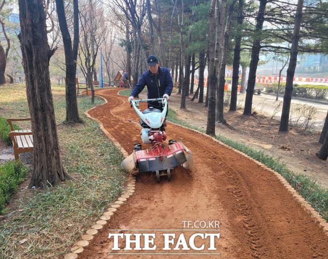 과천 에어드리공원 황톳길 관리 모습 /과천시