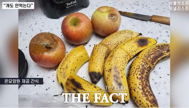 전직 대통령 부인 김건희 씨의 가족이 운영하는 노인요양원에서 심각한 부실 운영과 노인 학대 정황이 드러났다. 사진은 간식으로 내놓은 썩은 사과와 바나나. /서울의소리 캡처
