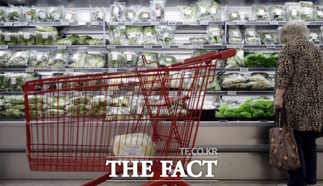 새 정부가 '민생회복 소비쿠폰' 지급을 예고한 가운데 쿠폰 사용처에 대해 유통 업태별로 촉각을 곤두세우고 있다. 사진은 지난 4일 서울 시내 한 대형마트 채소류 매대를 살펴보고 있는 소비자 모습 /뉴시스