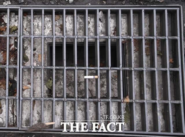 강우 발생 시, 빗물받이 그레이팅 위에 낙엽이나 이물질이 쌓이더라도 배수성능과 지연배출 기능을 안정적으로 유지할 수 있는 기술이 필요하다. 사진은 지난해 6월 강남역 일대 빗물받이에 담배꽁초가 아슬하게 걸쳐져 있는 모습.