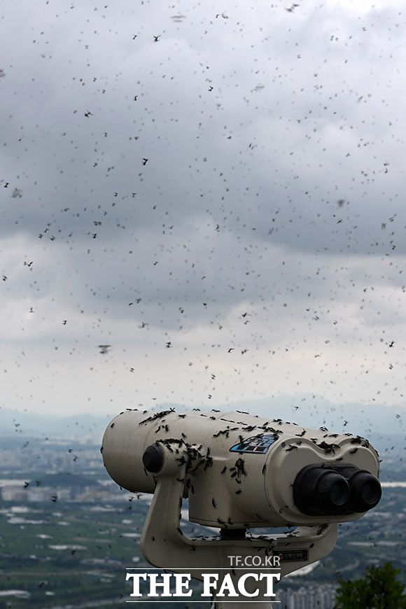 방역에도 줄어들지 않고,