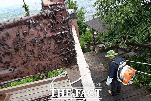 에어건을 살포해 보지만,