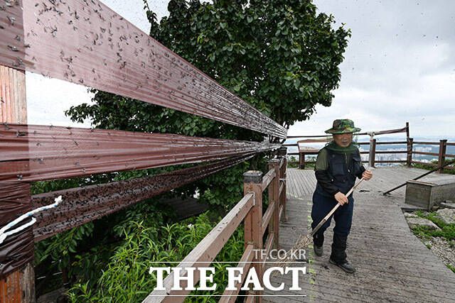 빗자루로 쓸고,