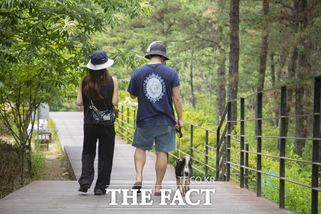 반려견과 함께 포천 아트밸리를 찾은 관광객. /경기관광공사