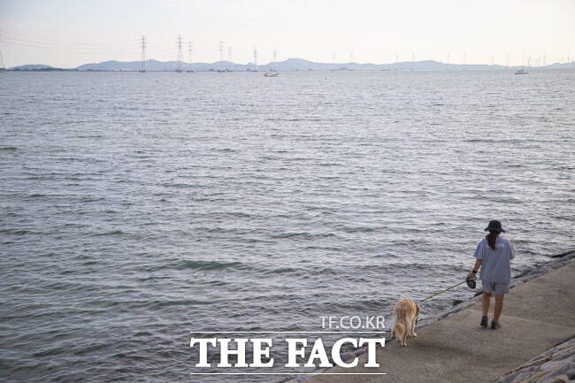 반려견과 함께 시흥 거북섬 해안 산책로를 걷고 있는 관광객./경기관광공사