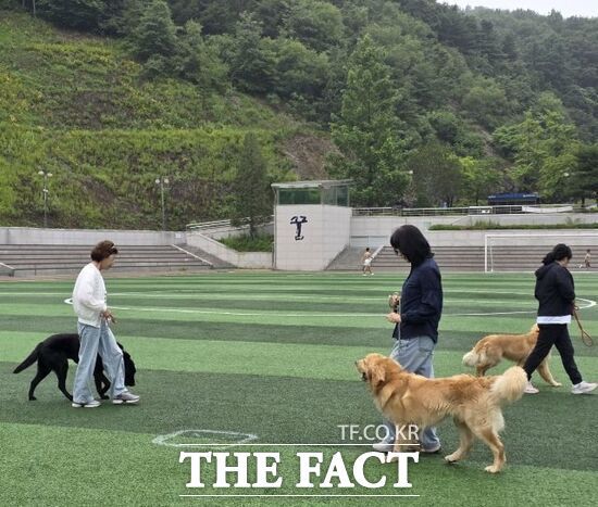 경기 남양주시가 지난달 18일부터 지난 4일까지 진행한 '펫시터 전문가 과정 1기'에 참가한 수강생들이 야외 교육을 받고 있다./남양주시