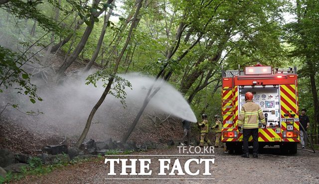 서울시는 러브버그에 대한 약품 사용 없는 친환경적 방제에 나서고 있다. /서울시