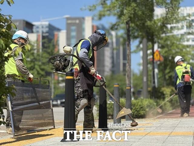 서울 송파구청 공원녹지과 근로자들이 예초기로 보도블럭 사이 잡초를 정리하고 있다. /정인지 기자