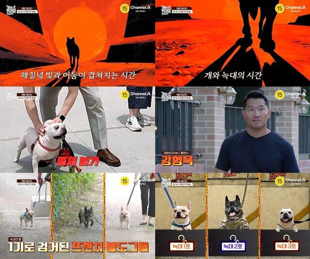 '개와 늑대의 시간'은 오는 5일 오후 9시 20분 첫 방송한다. /채널A