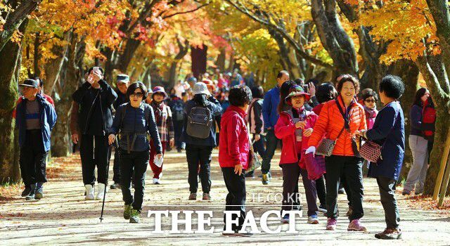 내장산은 올해 10월 24일경 첫 단풍을 시작으로 11월 5일경 절정을 이룰 것으로 예측된다. /정읍시