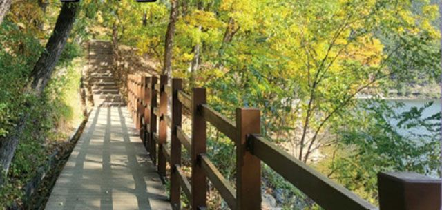 대구 비슬산둘레길./산림청