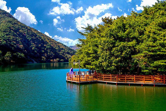 제천 의림지 한방치유숲길./산림청