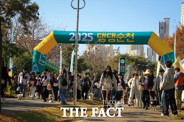 지난 11월 열린 '댕댕순천, 힐링워크' 참가자들이 전남 순천시 신대지구 생태회랑로에서 산책을 하고있다. /순천시