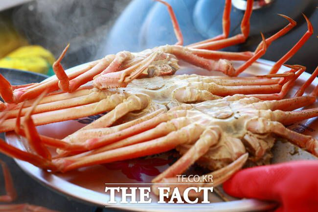 울진대게. /울진군