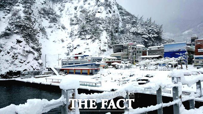 설국으로 변한 울릉도 /독자제공