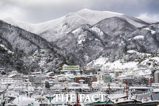 하얀 겨울옷을 갈아입을 울릉도 풍경. /독자제공