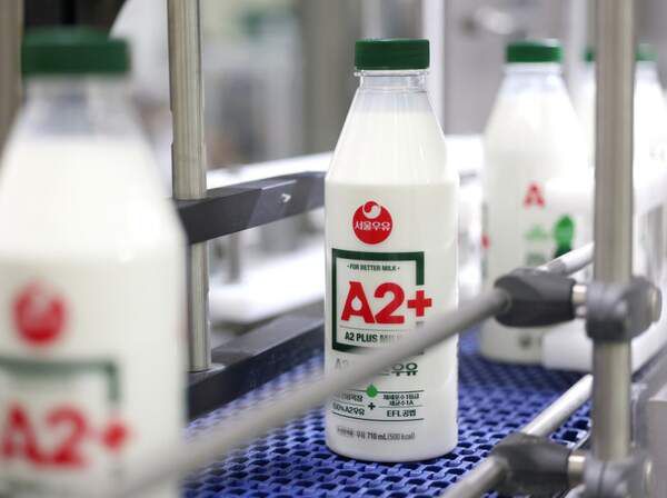 2026년 들어 미국, 유럽 수입산 유제품 관세가 전면 폐지되면서 국내 유업계가 더 큰 어려움에 직면했다. 사진은 서울우유협동조합 'A2+ 우유'의 생산 공정 모습. /서울우유협동조합