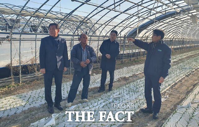 경북 농협이 14일 최근 강풍으로 시설하우스 피해를 입은 고령군 관내 마늘재배 농가를 방문해 농업인을 위로하고 현장을 살펴보고 있다. 왼쪽부터 최종보 동고령농협 조합장, 이정태 조합원, 박병영 고령지부장, 김주원 본부장. /경북 농협