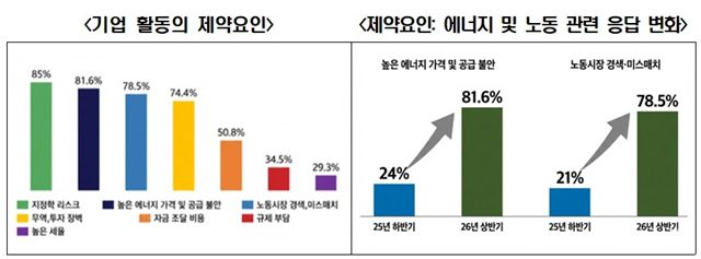 경제산업자문위원회(BIAC) '2026 경제정책 조사' 그래픽 자료. /한경협