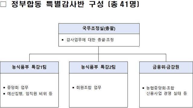 정부합동 특별감사반 구성표 /국무조정실