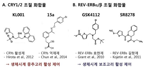 일주기 분자 생체시계 제어 화합물 (출처: ksmcb)