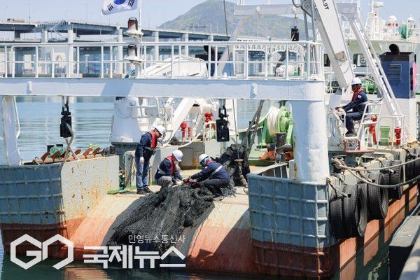 용호별빛공원 인근 해역에서 해양 침적 폐기물을 수거하고 있다