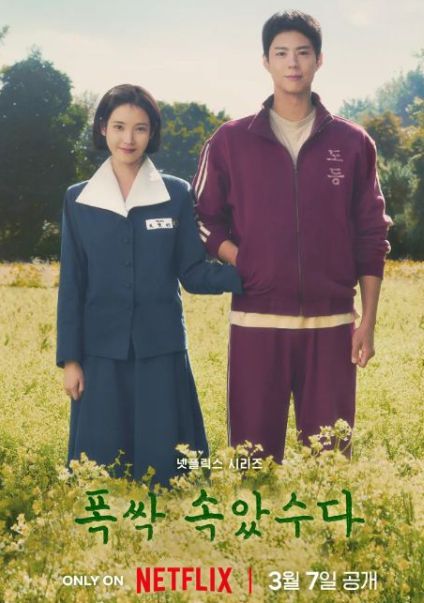 넷플릭스 드라마 폭싹 속았수다 포스터 (사진/인터넷 화면 갈무리 ⓒ NETFLIX)