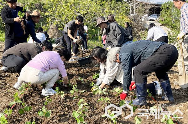 함양군 백전면 유천리 일원에서 연구우량종묘를 경상국립대학교 대학원생, 함양군농민회, 한국임업진흥원과 더불어 보존포에 식재하는 장면.