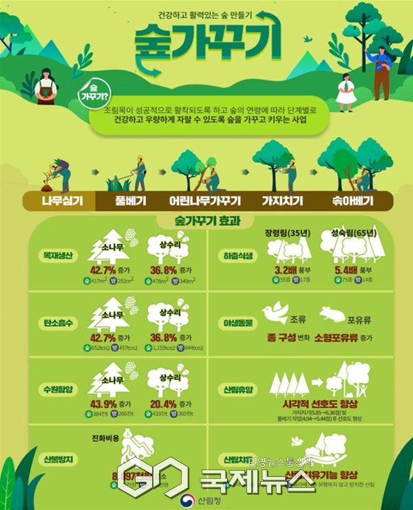 숲가꾸기 효과 포스터(제공=산림청)/충남도청 제공
