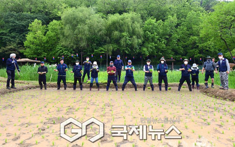 소만, 농사의 시작점/인천 월미공원사업소 모내기 현장 (사진=안희영 기자)