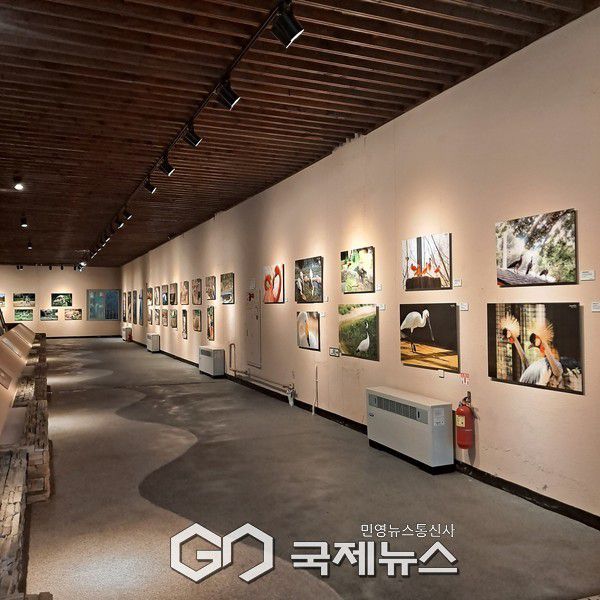 사진/국제뉴스 이재호 기자